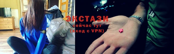 СК Алексин