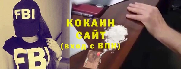 СК Алексин
