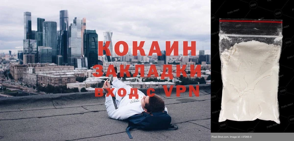СК Алексин